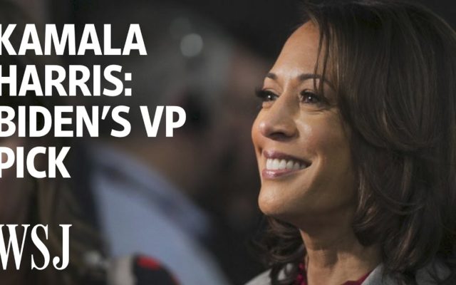 Joe Biden Taps Kamala Harris For VP