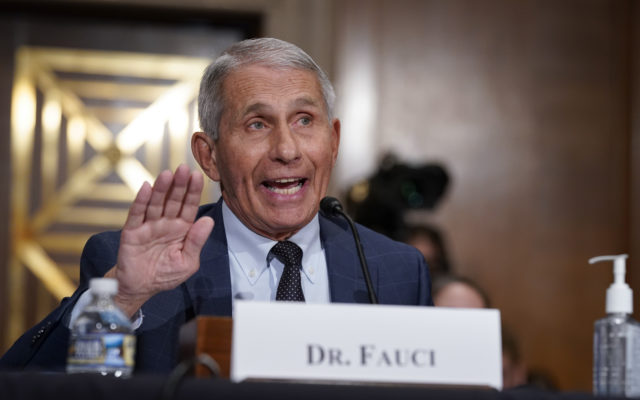 Fauci Gives The Green Light To Trick-Or-Treating
